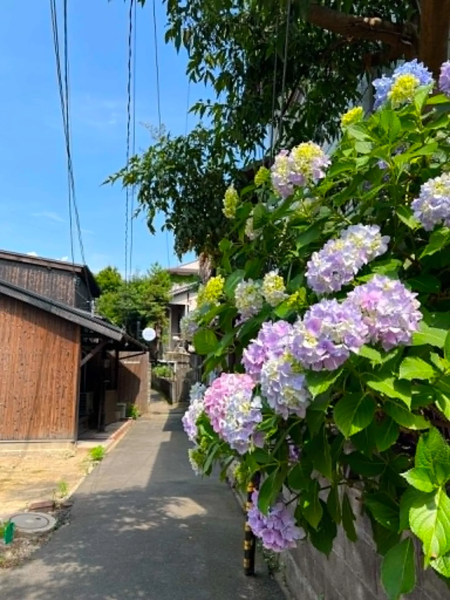 梅雨も一休み。心地よい初夏の日は、美味しいお肉とワインで乾杯!